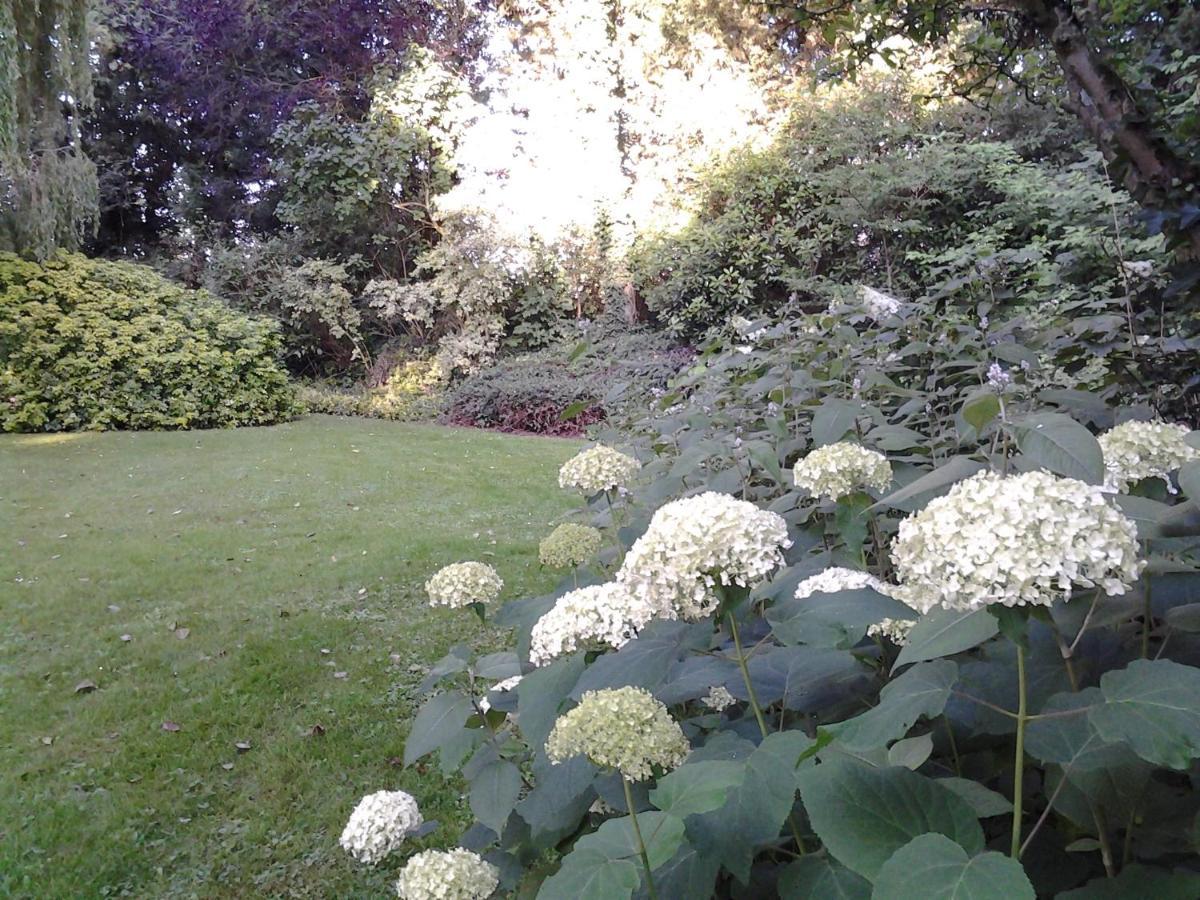 Bed and Breakfast Les Jardins Hoymille Zewnętrze zdjęcie